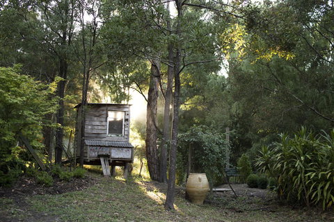 Botanica Editions - Hotel Accommodation 31