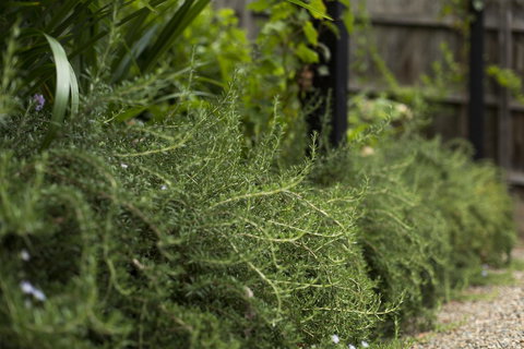 Botanica Editions - Hotel Accommodation 35