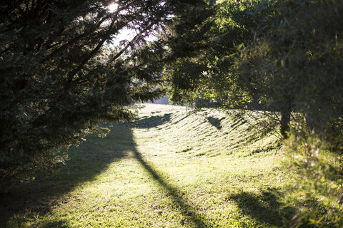 Botanica Editions - Hotel Accommodation 29