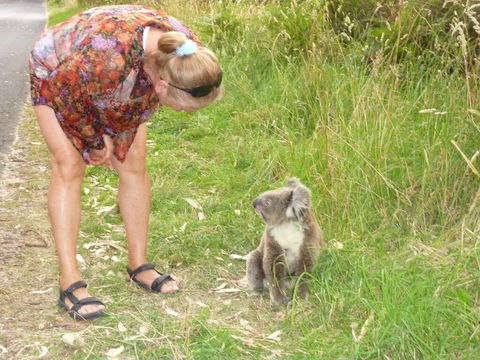 The Boomerangs At Johanna - Hotel Accommodation 3