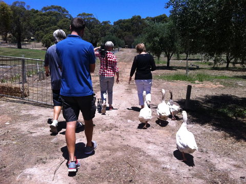 The Farm Willunga - Hotel Accommodation 1