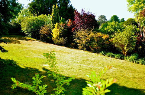The Glasshouse Boutique Accommodation - Hotel Accommodation 1