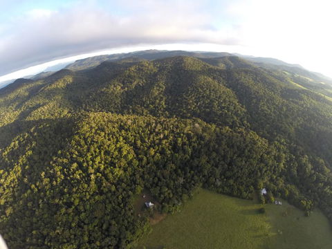 The Jungle Stays - Hotel Accommodation 1