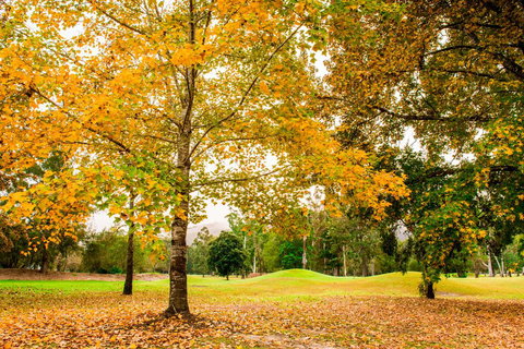 The Retreat At Wisemans - Hotel Accommodation 1