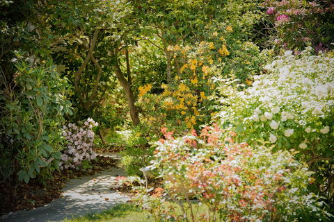 The White House - Hotel Accommodation 2