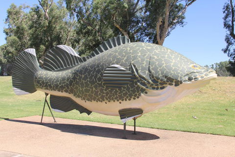 Tocumwal Hotel Motel (The Palms) - Hotel Accommodation 1