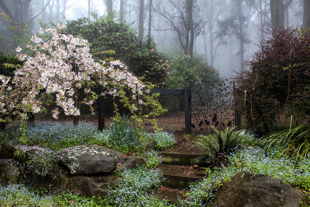Mount Tomah NSW Hotel Accommodation