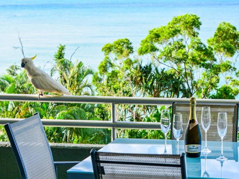 Top Floor Hibiscus Apartment 208 - Hotel Accommodation 3