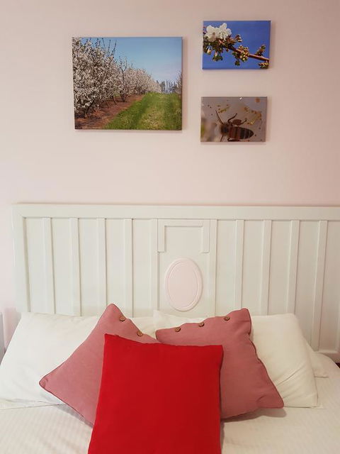 Town House Motor Inn Young - Hotel Accommodation 1