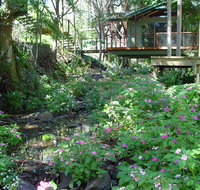 Treetops Montville - Hotel Accommodation