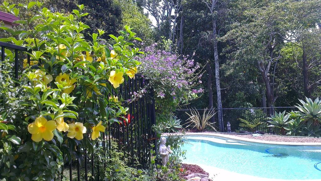 Duranbah NSW Hotel Accommodation