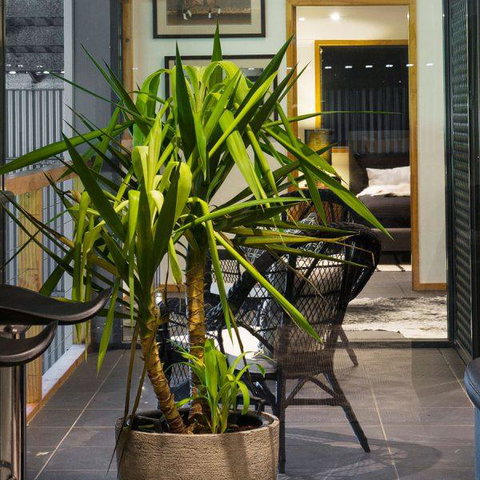 Val D'Argent Equestrian Centre - Hotel Accommodation 2