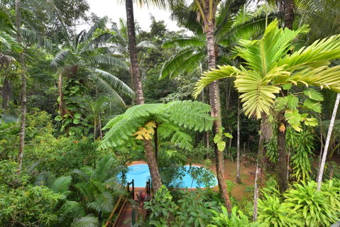 Wait A While Daintree - Hotel Accommodation 3