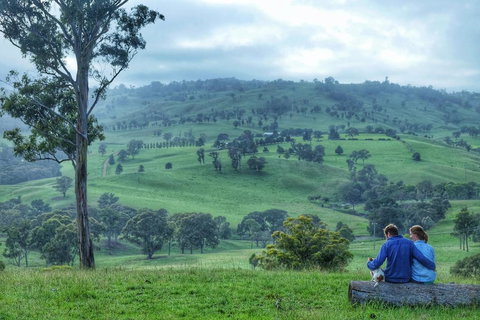 Waterfall Way Farmstay - Hotel Accommodation 2