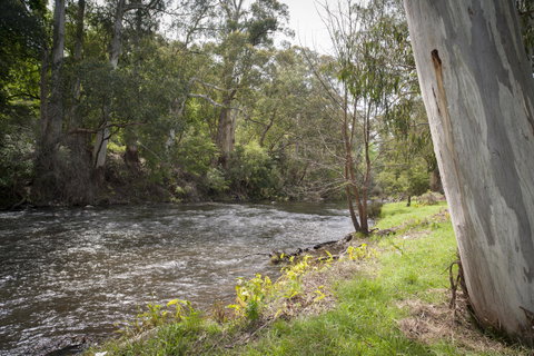 Oscar\'s On The Yarra - Hotel Accommodation 23