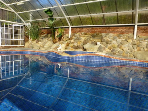 Alpine Aspects - Hotel Accommodation 39
