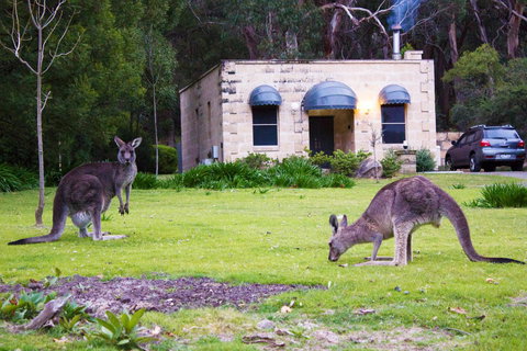 Marwood Villas - Hotel Accommodation 0