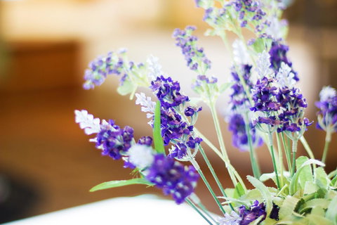 Marwood Villas - Hotel Accommodation 7