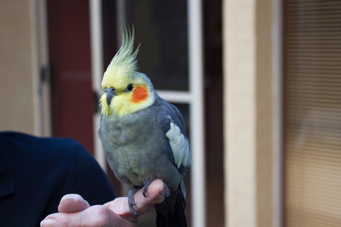 Marwood Villas - Hotel Accommodation 33