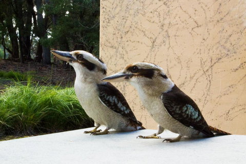 Marwood Villas - Hotel Accommodation 13