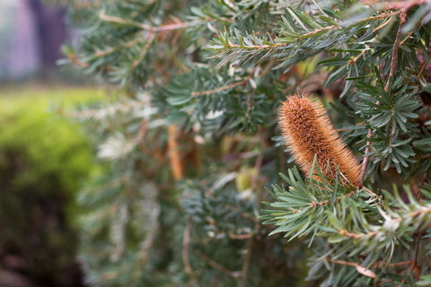 Marwood Villas - Hotel Accommodation 34