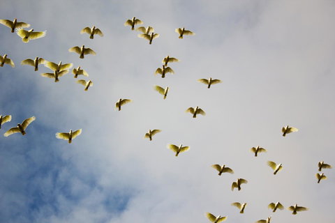 Marwood Villas - Hotel Accommodation 36