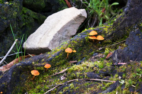 Marwood Villas - Hotel Accommodation 29