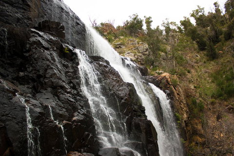 Marwood Villas - Hotel Accommodation 38