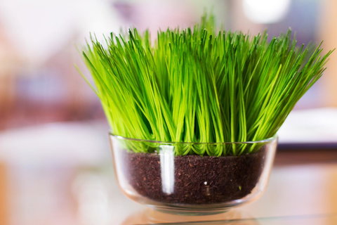 Marwood Villas - Hotel Accommodation 17