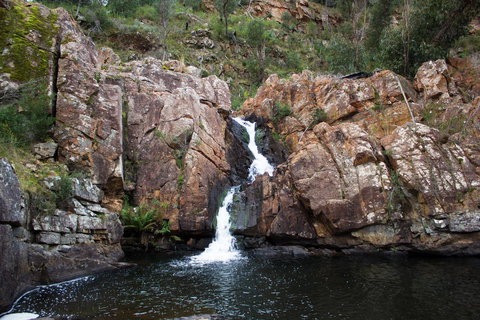 Marwood Villas - Hotel Accommodation 41