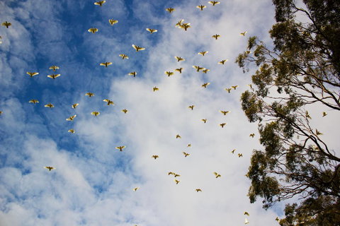 Marwood Villas - Hotel Accommodation 26