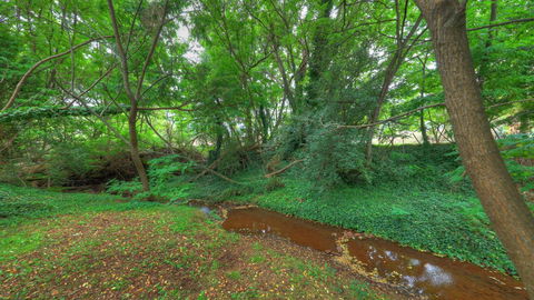 Aspens Springs Farmstay - Hotel Accommodation 21