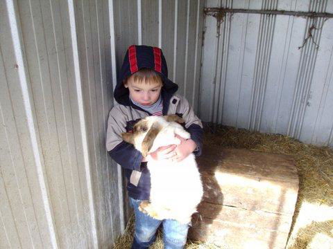 Aspens Springs Farmstay - Hotel Accommodation 28