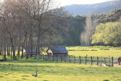 Aspens Springs Farmstay - Hotel Accommodation 25