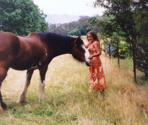 Aspens Springs Farmstay - Hotel Accommodation 31