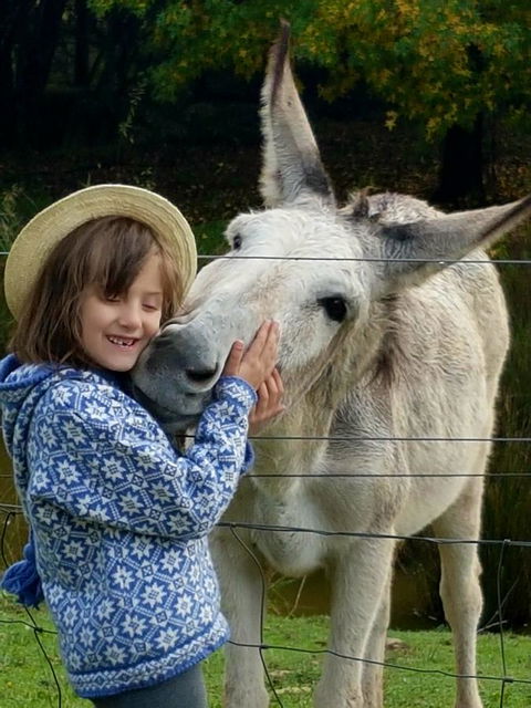 Aspens Springs Farmstay - Hotel Accommodation 32