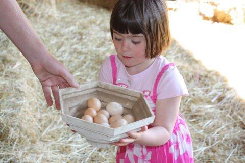 Aspens Springs Farmstay - Hotel Accommodation 27