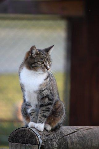 Aspens Springs Farmstay - Hotel Accommodation 24