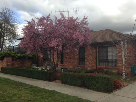 Bricks And Roses - Hotel Accommodation 1