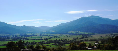 Allamar Motel - Hotel Accommodation 1