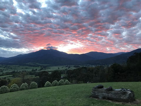 Allamar Motel - Hotel Accommodation 2