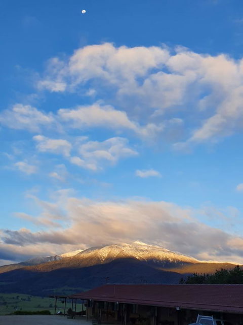 Allamar Motel - Hotel Accommodation 3