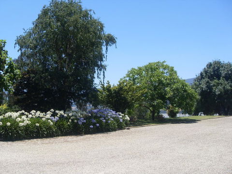 Allamar Motel - Hotel Accommodation 24