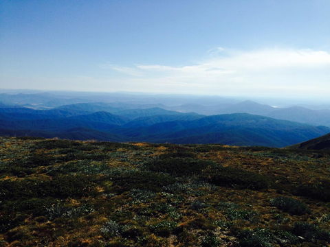 Allamar Motel - Hotel Accommodation 20