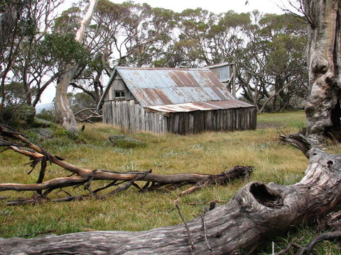 Allamar Motel - Hotel Accommodation 42