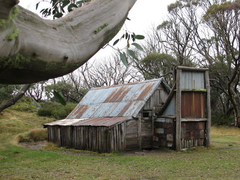 Allamar Motel - Hotel Accommodation 44