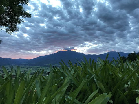 Allamar Motel - Hotel Accommodation 4