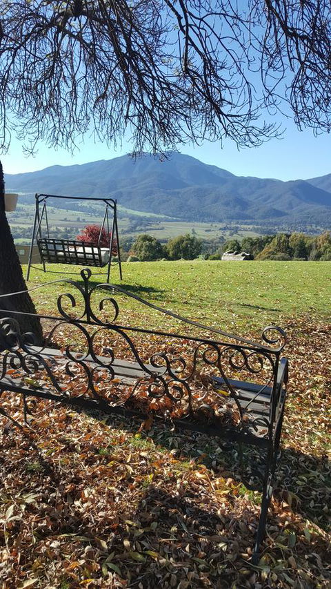 Allamar Motel - Hotel Accommodation 13