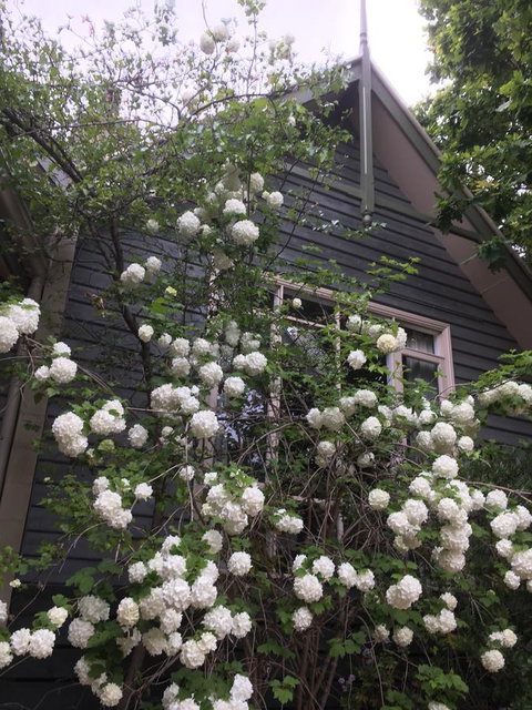 Oak Tree Lodge - Hotel Accommodation 21