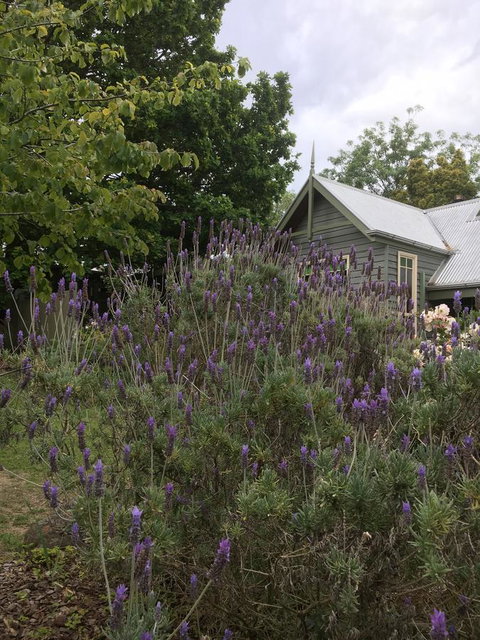 Oak Tree Lodge - Hotel Accommodation 25